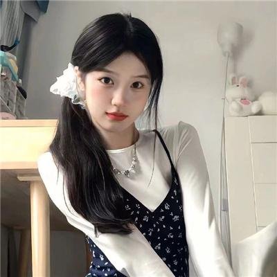 雁南飞